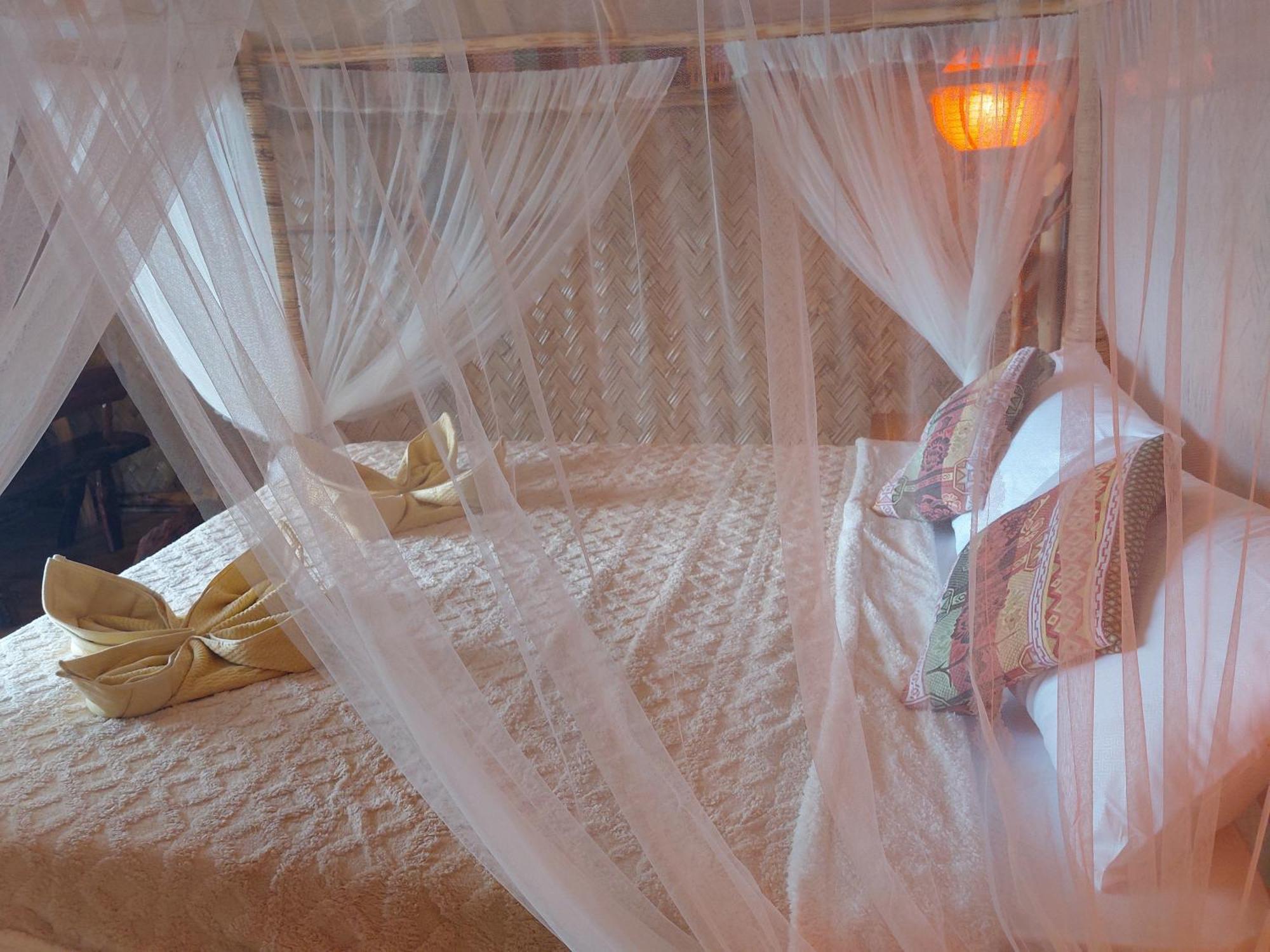 Jungle Bar Honeymoon Suite & Private Pool San Vicente  Exterior photo